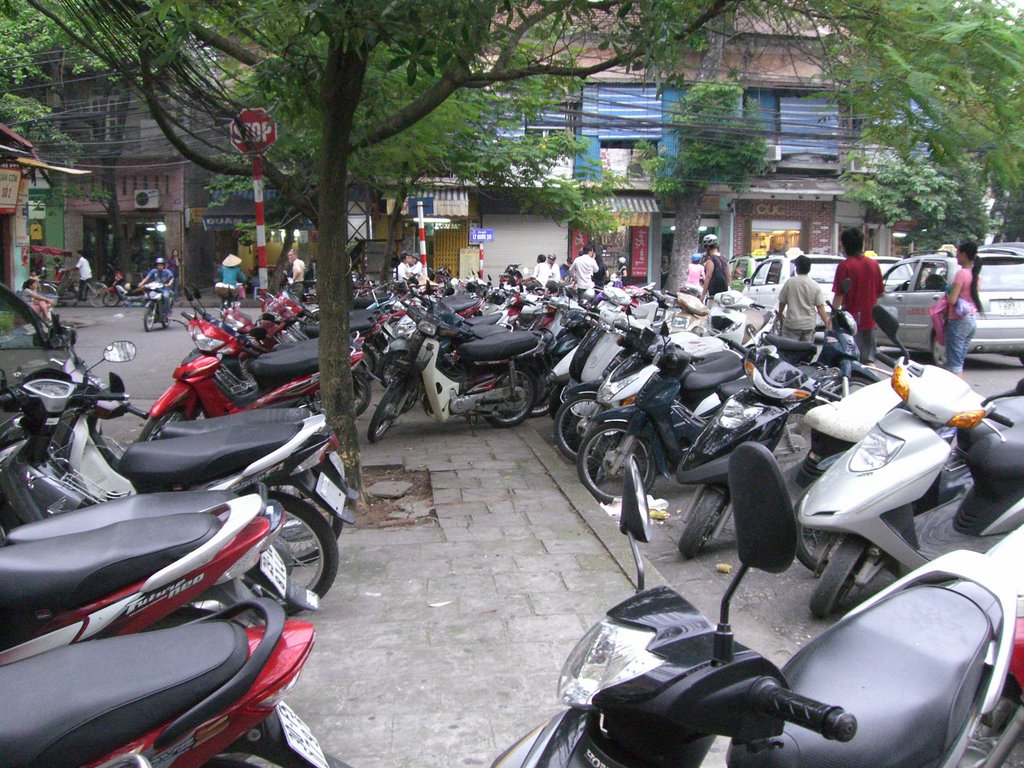 CIMG0889.JPG