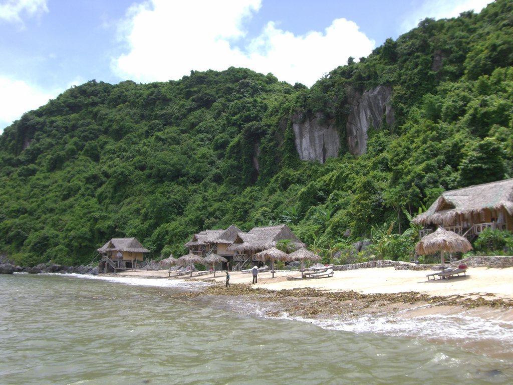 CIMG0956.JPG