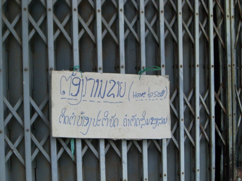 CIMG1015.JPG
