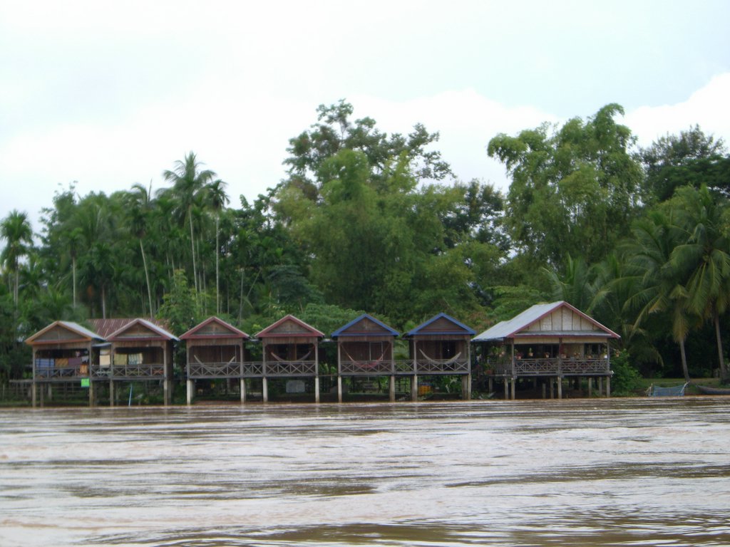 CIMG1036.JPG