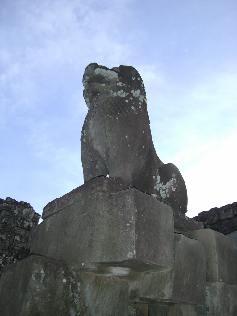 CIMG1167.JPG