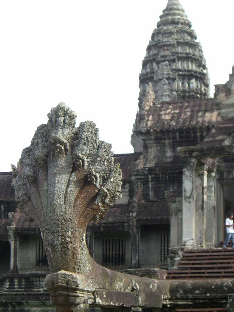CIMG1225.JPG