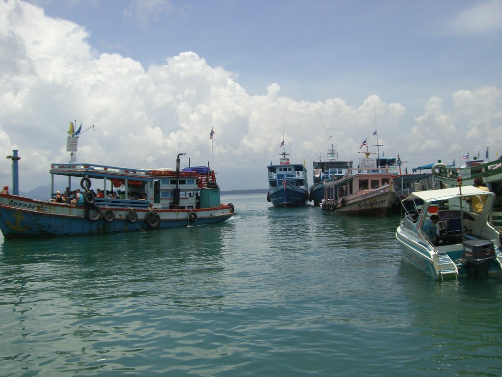 CIMG1346.JPG