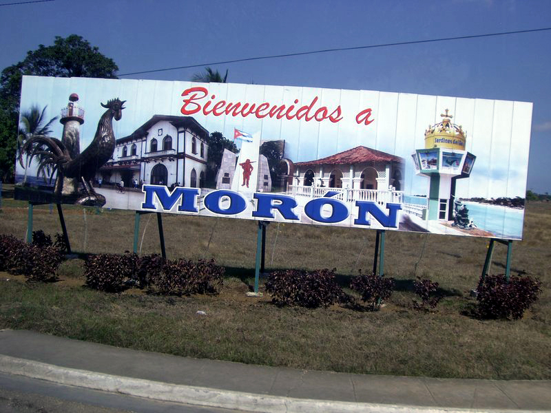 CIMG2647.JPG