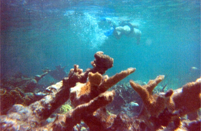 underwater3.jpg