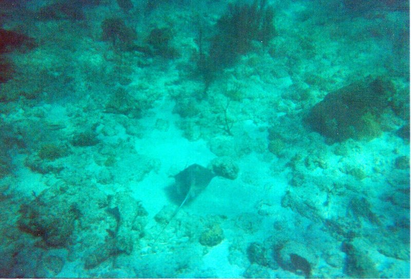 underwater7.jpg