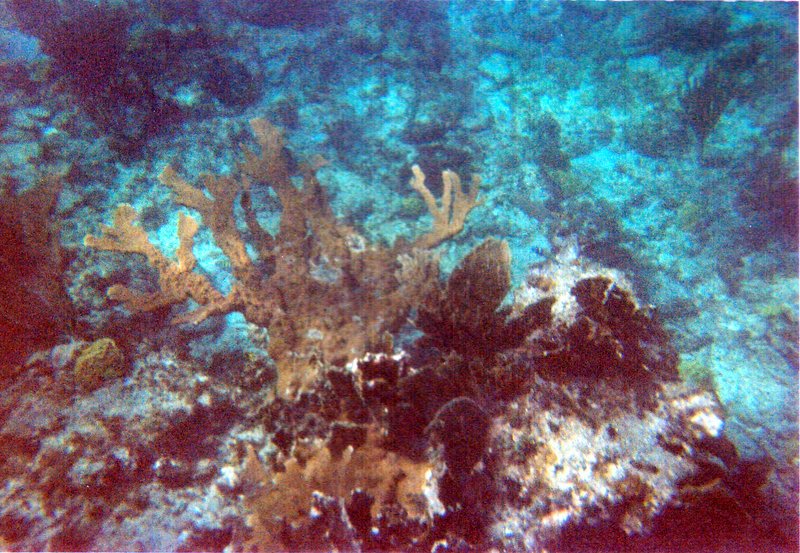 underwater8.jpg