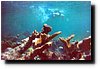 underwater3.jpg