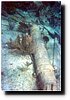 underwater4.jpg