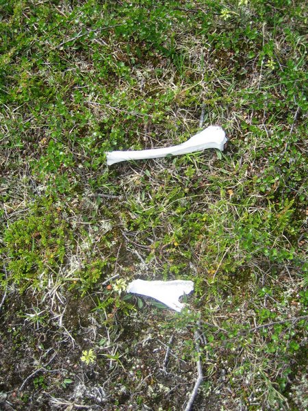 IMG_1172.JPG