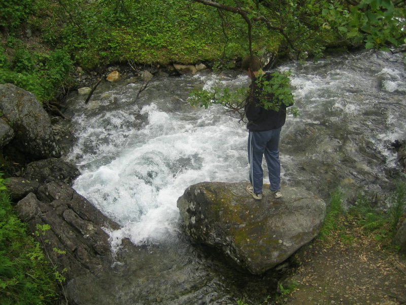 IMG_1186.JPG