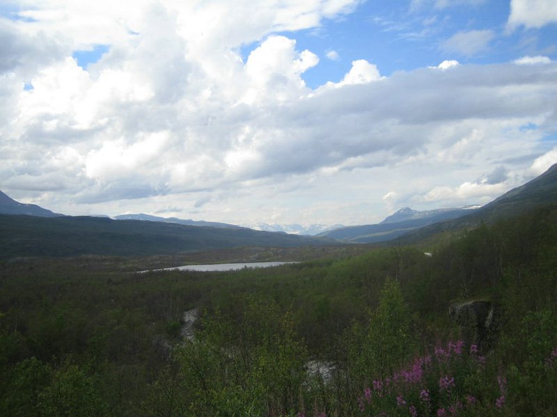 IMG_1200.JPG