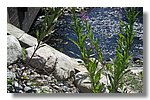 IMG_1049.JPG