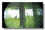 IMG_1067.JPG