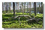 IMG_1079.JPG