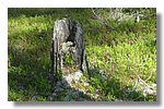 IMG_1080.JPG