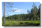 IMG_1081.JPG