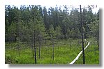 IMG_1082.JPG