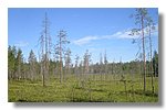 IMG_1083.JPG
