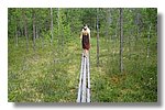 IMG_1087.JPG