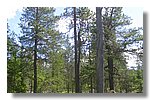 IMG_1097.JPG