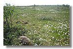 IMG_1099.JPG