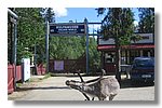 IMG_1101.JPG