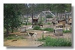 IMG_1104.JPG