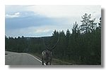 IMG_1108.JPG