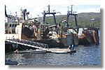 IMG_1116.JPG