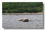 IMG_1126.JPG