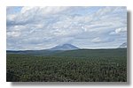 IMG_1129.JPG