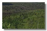 IMG_1130.JPG