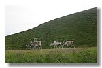 IMG_1140.JPG