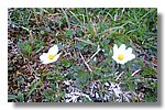 IMG_1159.JPG