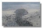 IMG_1160.JPG