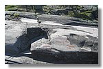 IMG_1177.JPG