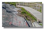 IMG_1178.JPG