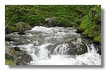 IMG_1184.JPG