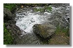 IMG_1185.JPG