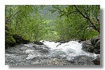 IMG_1187.JPG