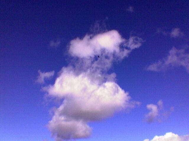Image(14).jpg