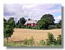 Image(19).jpg