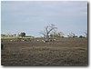 img_4102.jpg