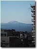 img_4152.jpg