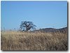 img_4173.jpg