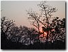 img_4300.jpg