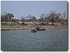 img_4323.jpg
