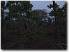 img_4360.jpg