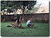 img_4369.jpg
